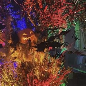 fwthumbHalloween Event Seasons Restaurant Windlesham Lilys Flwoers Lightwater.jpg